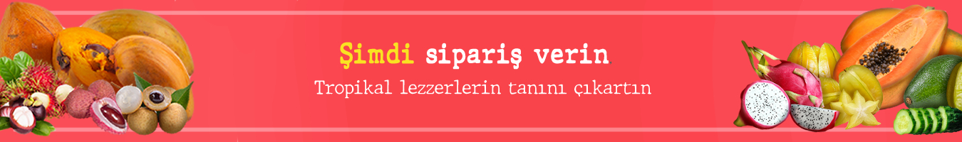 mopan tanıtım
